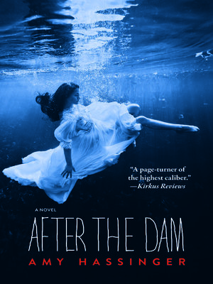 cover image of After the Dam